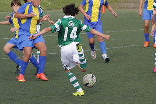 开云体育登录网站入口-女子冰球赛中，中国女队逆转韩国展现强大实力，中国女子冰球联赛