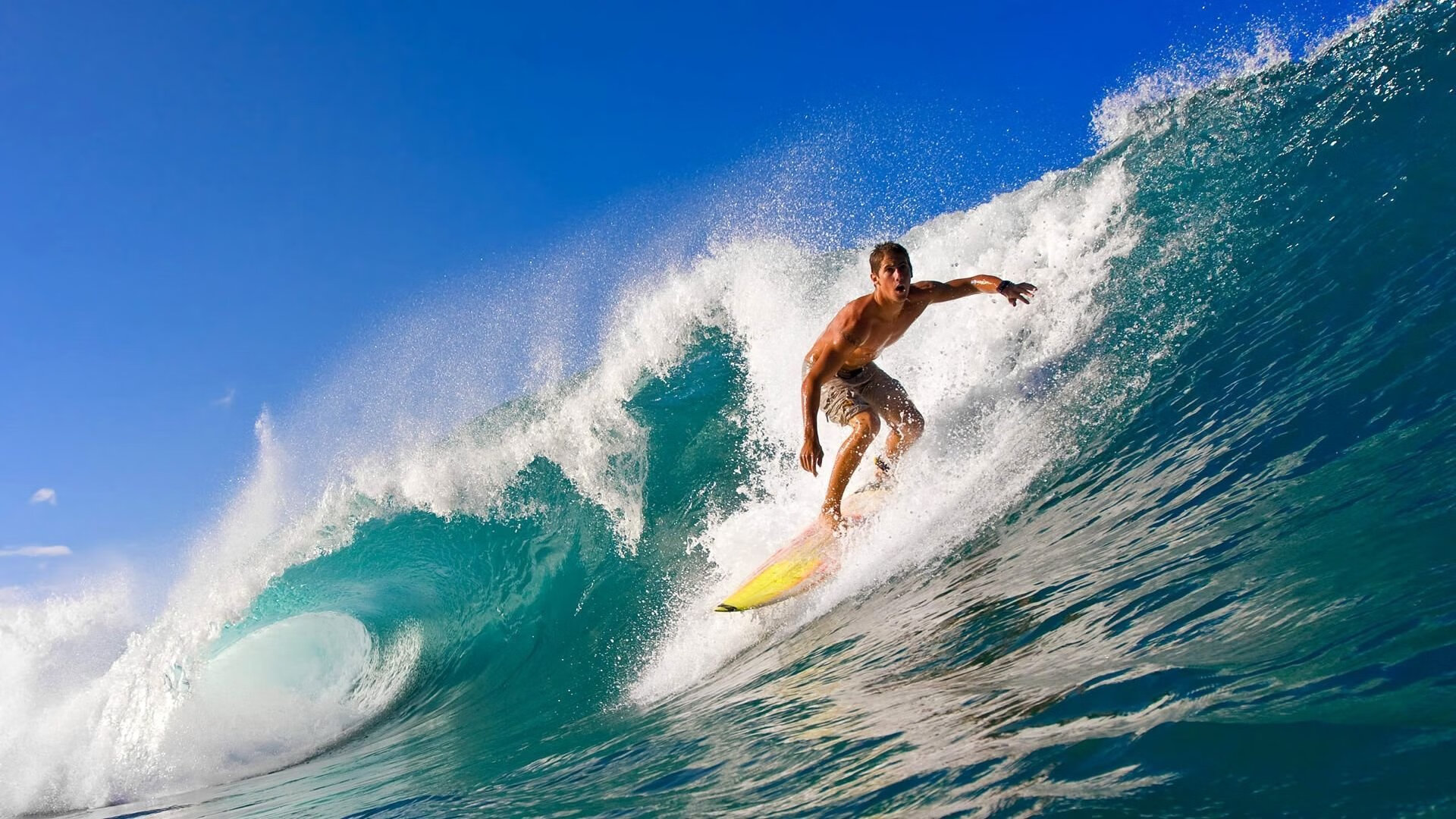 中国登山队在国际登山比赛中豪夺多项金牌，中国登山国家队
